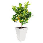 loft urban eckig hoch 37cm weiss